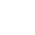 Shield Icon